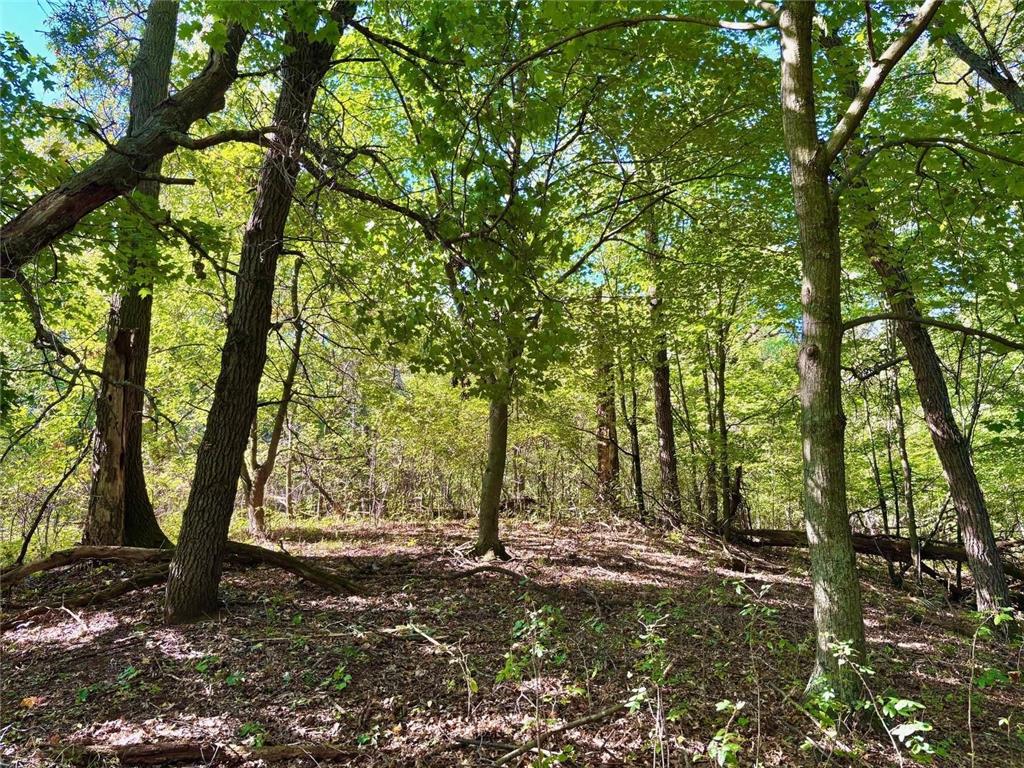 TBD153 River Road Sterling Twp WI 54024 6799481 image58