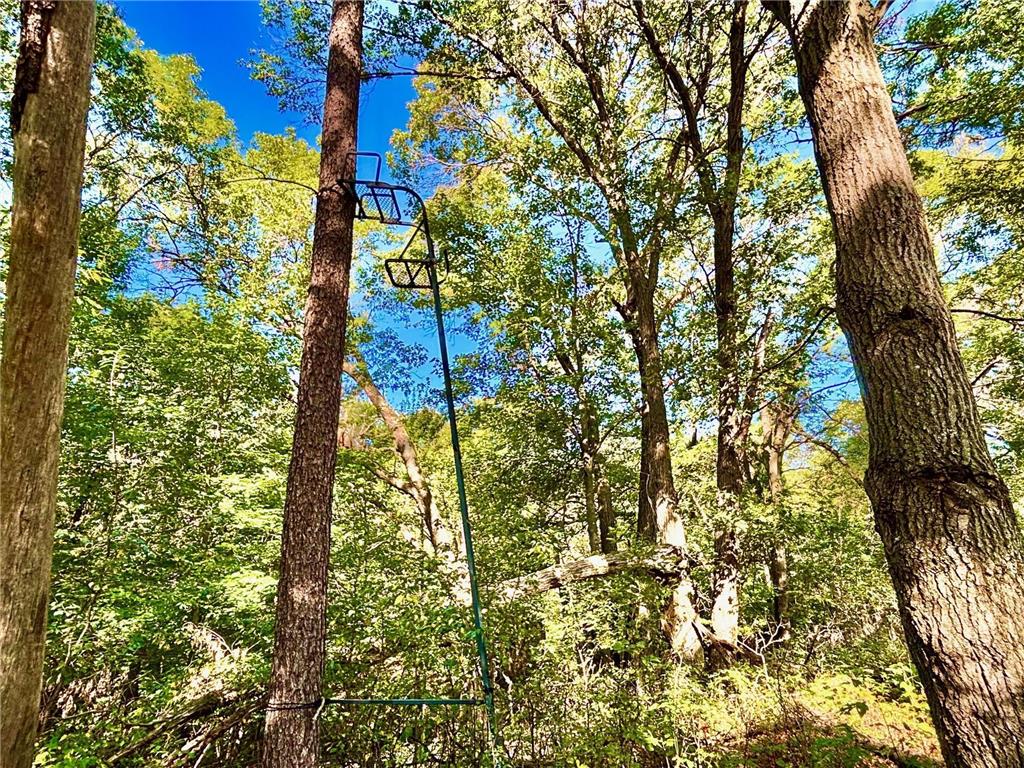 TBD153 River Road Sterling Twp WI 54024 6799481 image59