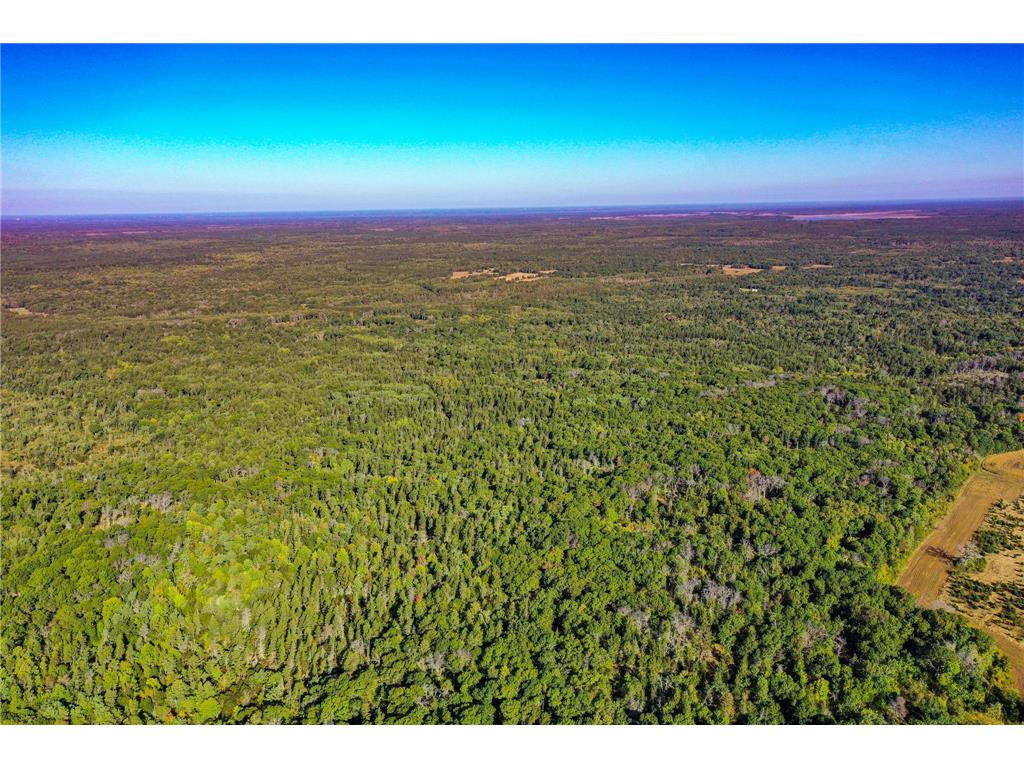 TBD153 River Road Sterling Twp WI 54024 6799481 image67