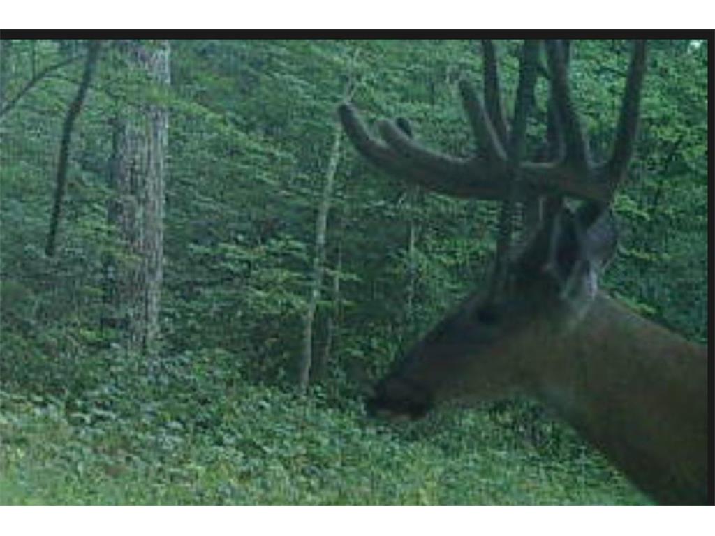 TBD153 River Road Sterling Twp WI 54024 6799481 image78