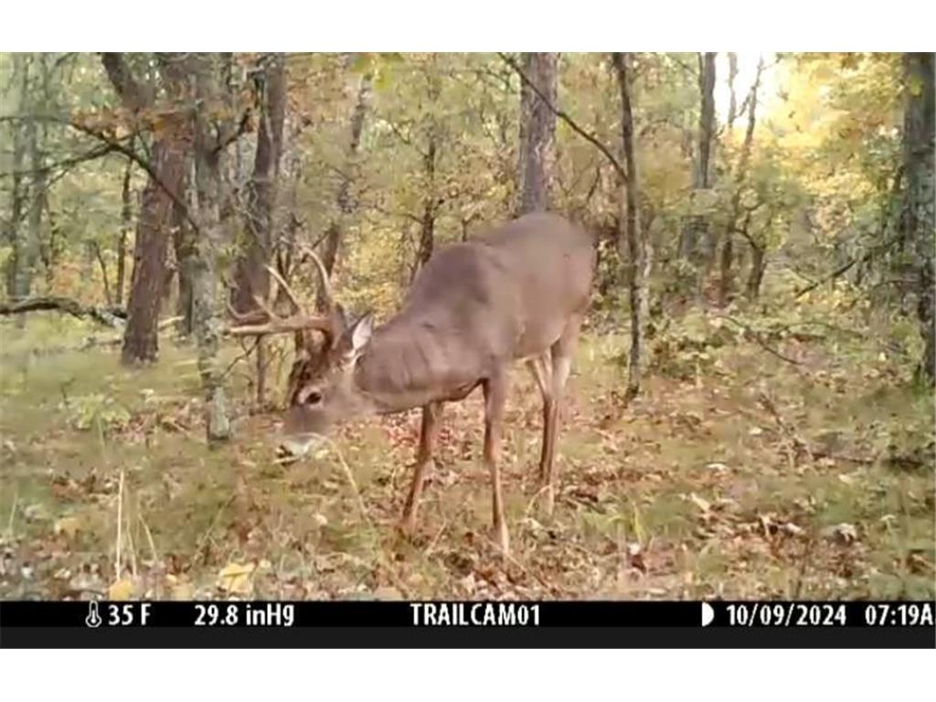 TBD153 River Road Sterling Twp WI 54024 6799481 image79