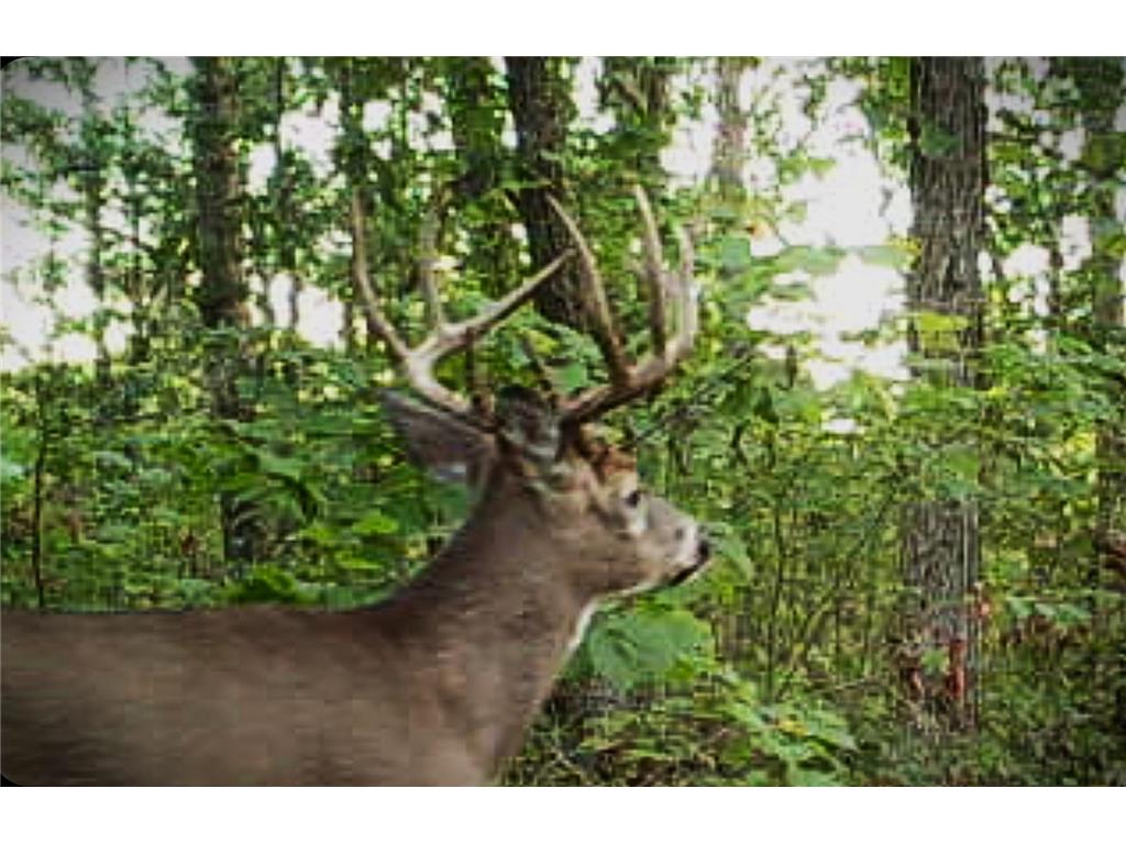 TBD153 River Road Sterling Twp WI 54024 6799481 image80