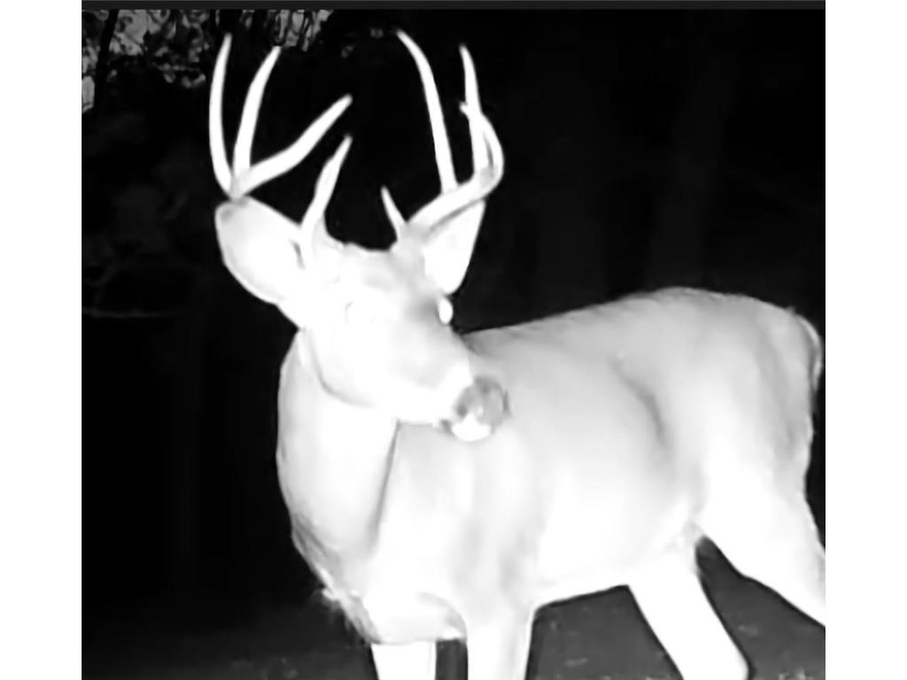 TBD153 River Road Sterling Twp WI 54024 6799481 image81