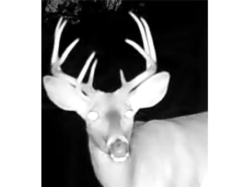 TBD153 River Road Sterling Twp WI 54024 6799481 image83