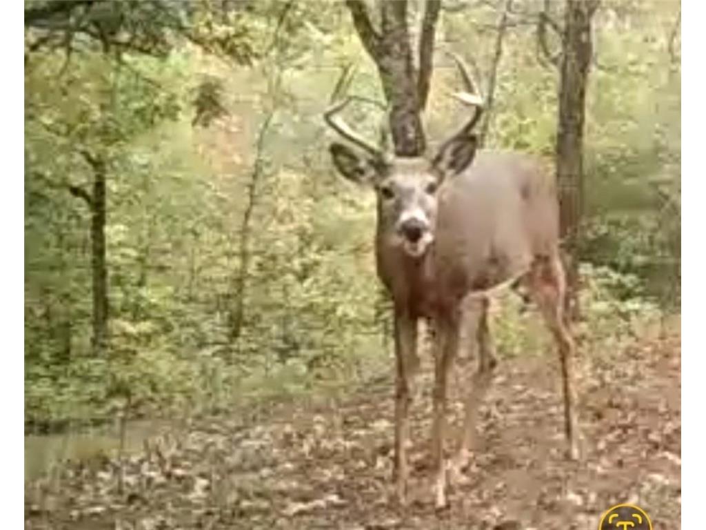 TBD153 River Road Sterling Twp WI 54024 6799481 image84