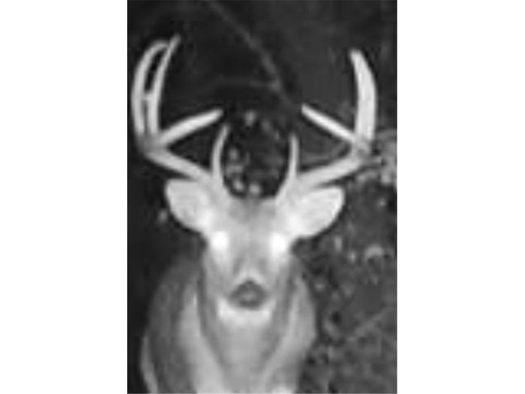 TBD153 River Road Sterling Twp WI 54024 6799481 image85