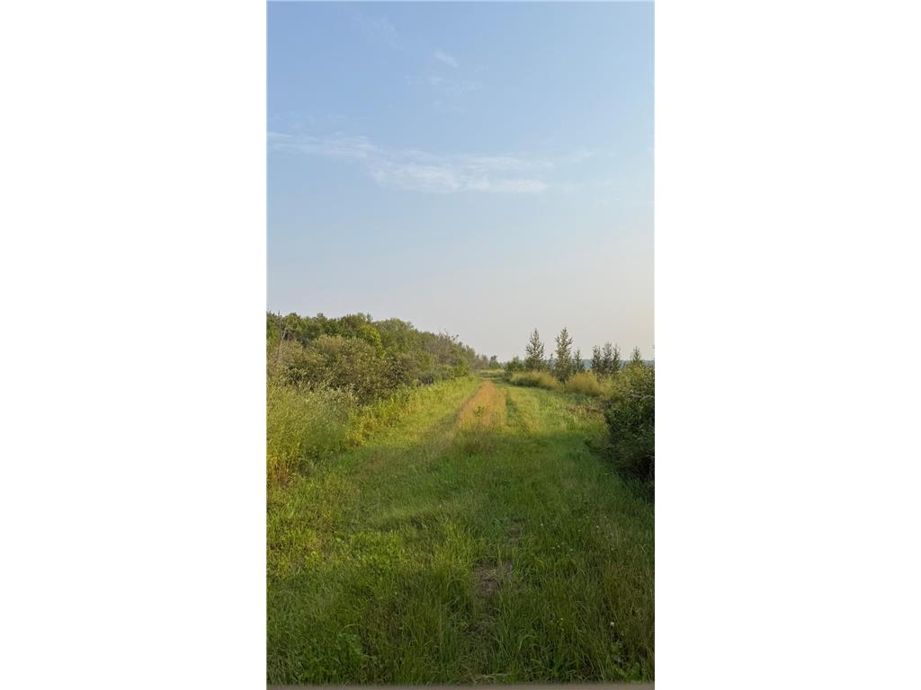 TBD160 Sunflower Road Kelliher MN 56650 6765763 image1