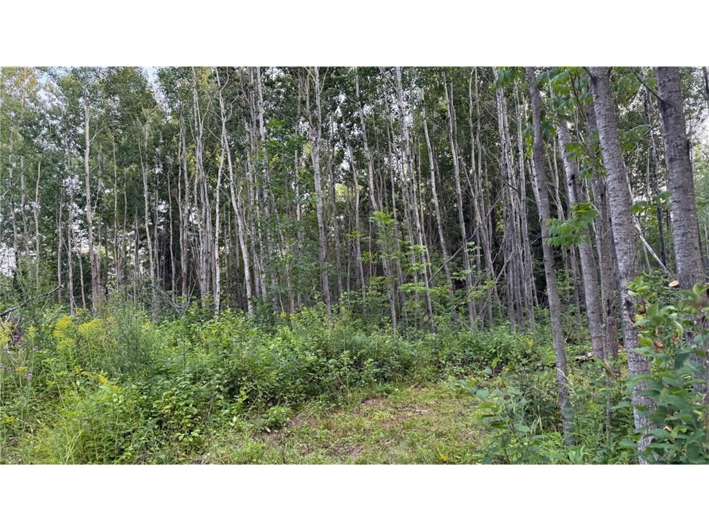 TBD160 Sunflower Road Kelliher MN 56650 6765763 image10