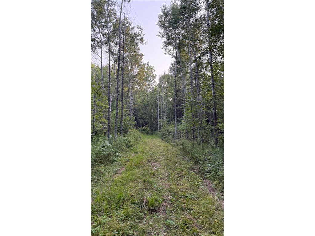 TBD160 Sunflower Road Kelliher MN 56650 6765763 image11