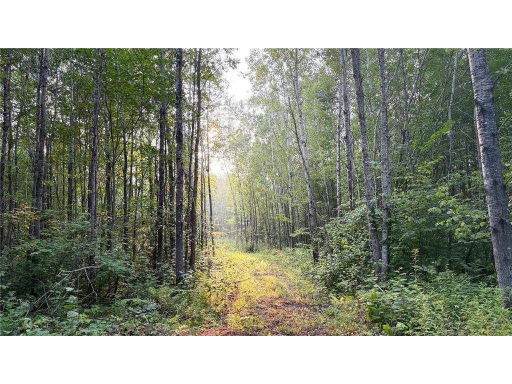 TBD160 Sunflower Road Kelliher MN 56650 6765763 image12