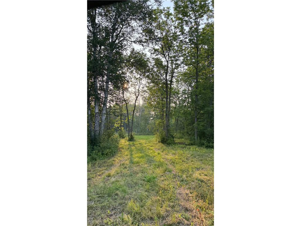 TBD160 Sunflower Road Kelliher MN 56650 6765763 image14