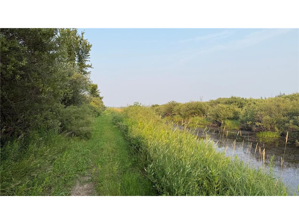 TBD160 Sunflower Road Kelliher MN 56650 6765763 image15