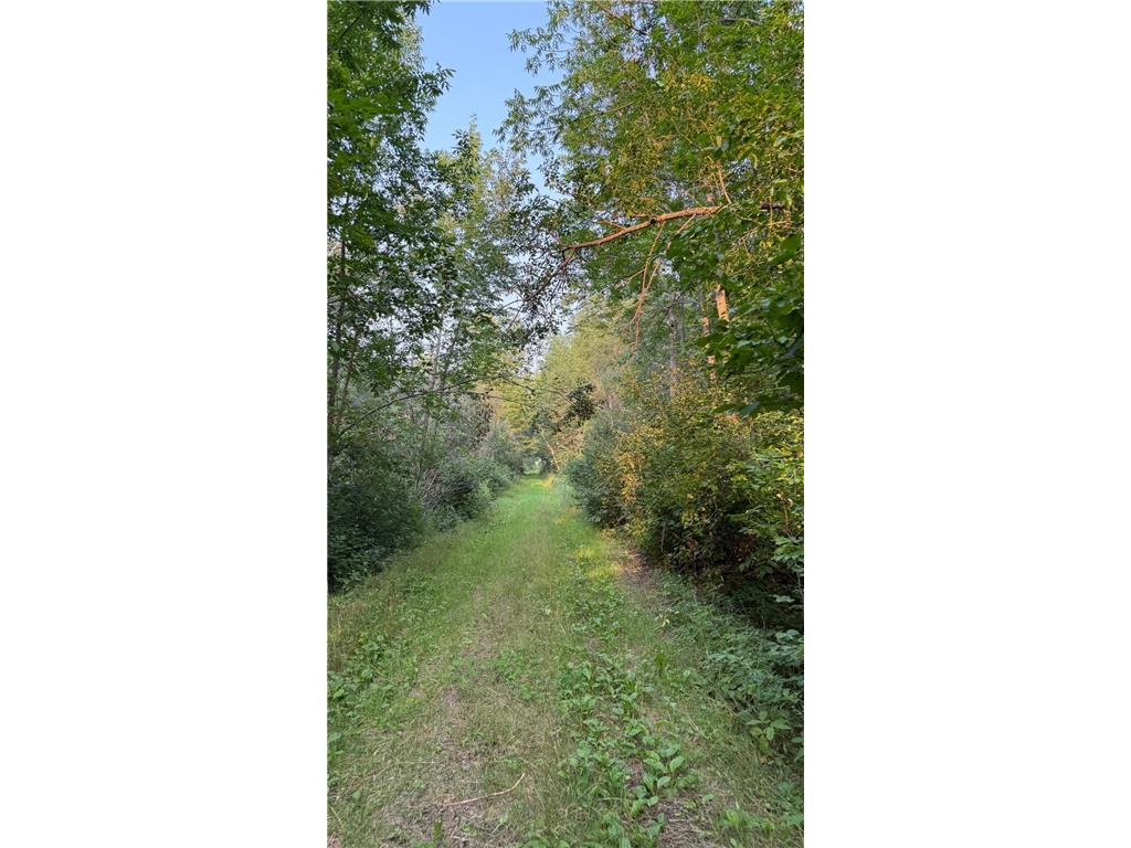 TBD160 Sunflower Road Kelliher MN 56650 6765763 image3