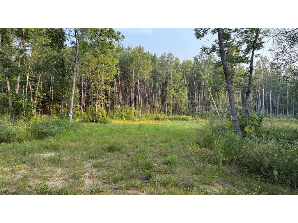 TBD160 Sunflower Road Kelliher MN 56650 6765763 image4
