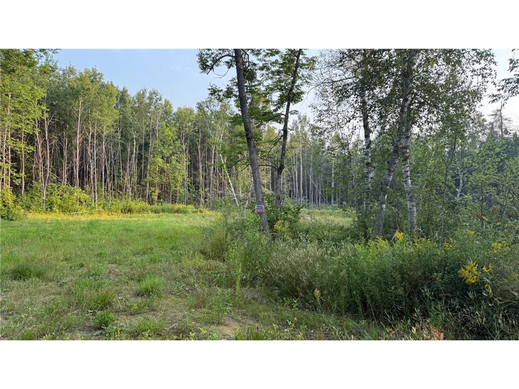 TBD160 Sunflower Road Kelliher MN 56650 6765763 image5