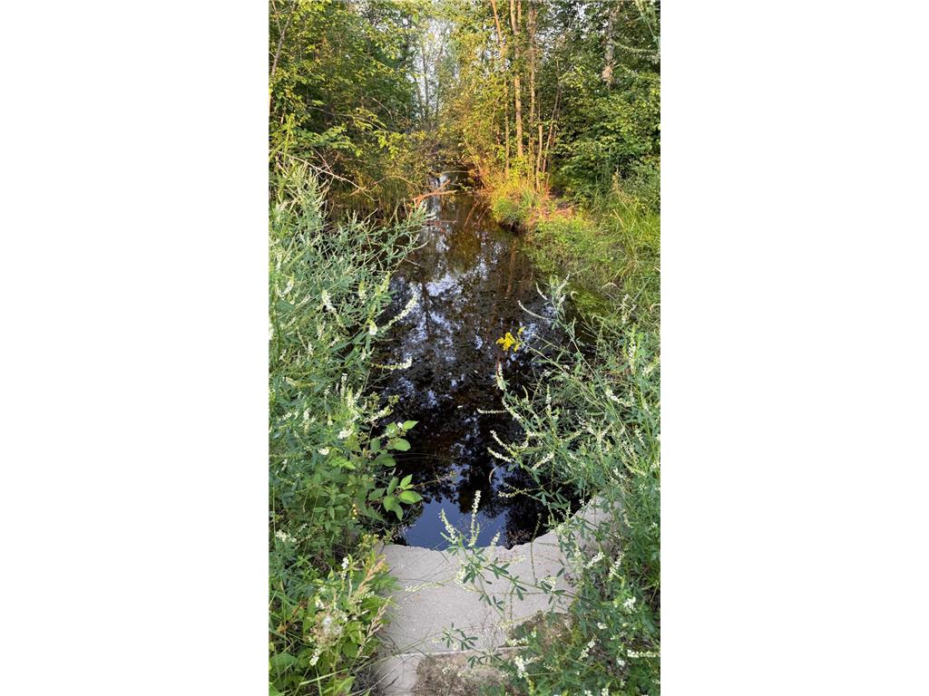 TBD160 Sunflower Road Kelliher MN 56650 6765763 image6