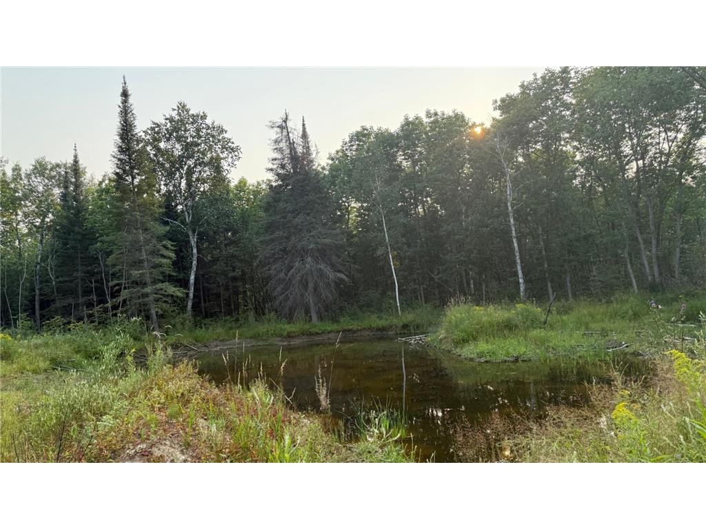TBD160 Sunflower Road Kelliher MN 56650 6765763 image7