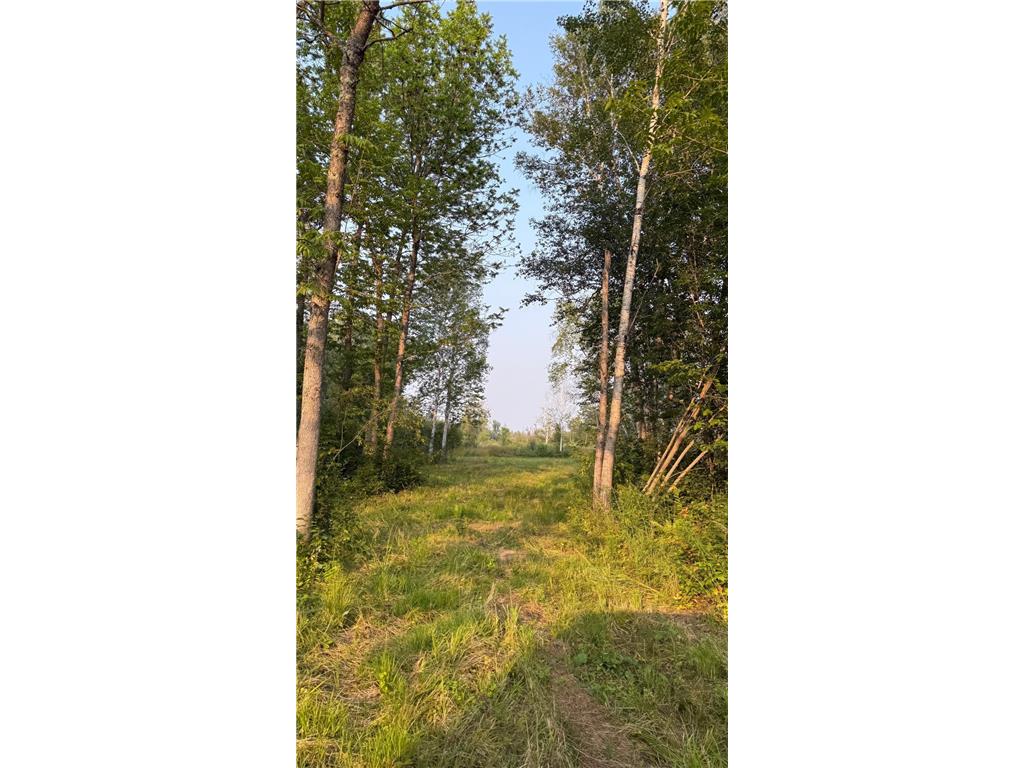 TBD160 Sunflower Road Kelliher MN 56650 6765763 image8
