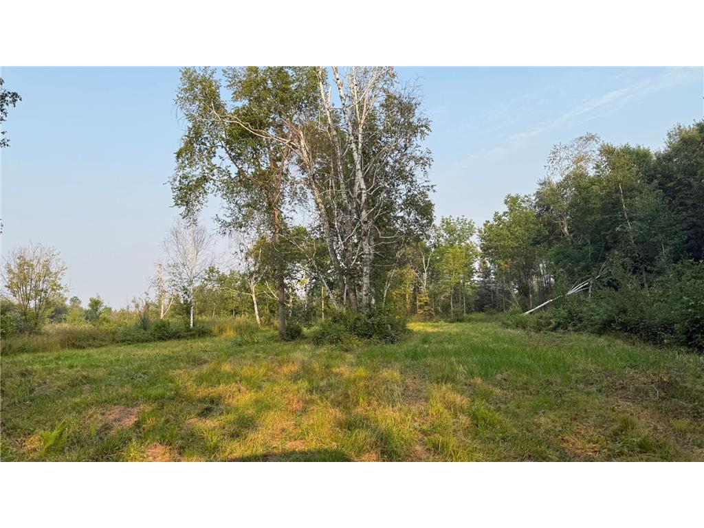 TBD160 Sunflower Road Kelliher MN 56650 6765763 image9
