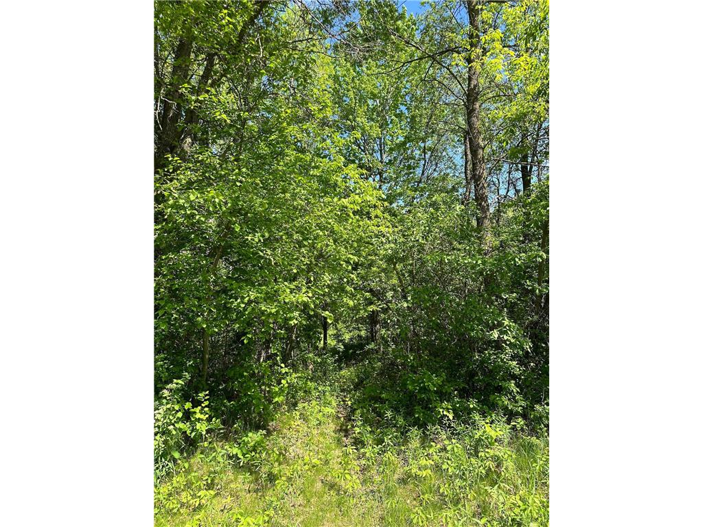 TBD2 140th Street Garfield Twp WI 54001 6541756 image1