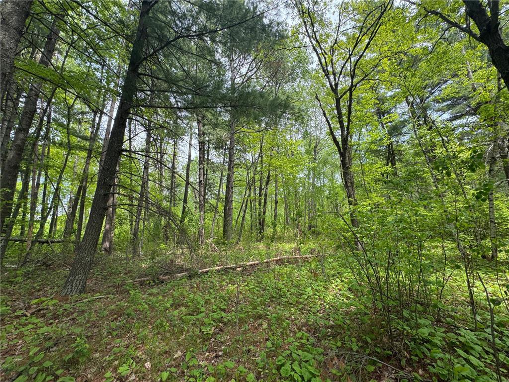 TBD2 Aurora Drive Walker MN 56484 6727849 image1