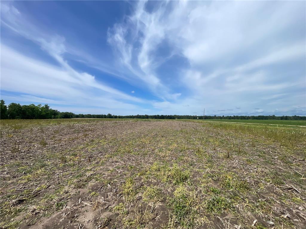 TBD2 Boot Lake Road SW Grant Valley Twp MN 56601 7106176 image18