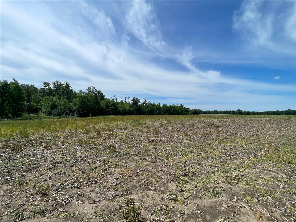 TBD2 Boot Lake Road SW Grant Valley Twp MN 56601 7106176 image19