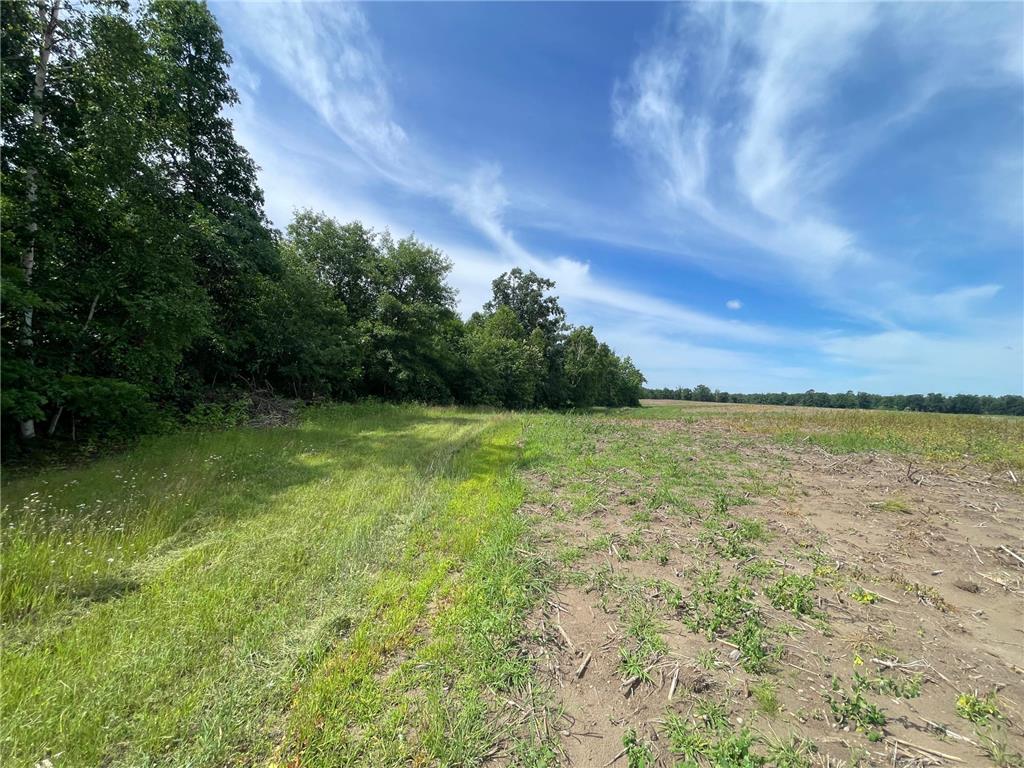 TBD2 Boot Lake Road SW Grant Valley Twp MN 56601 7106176 image20