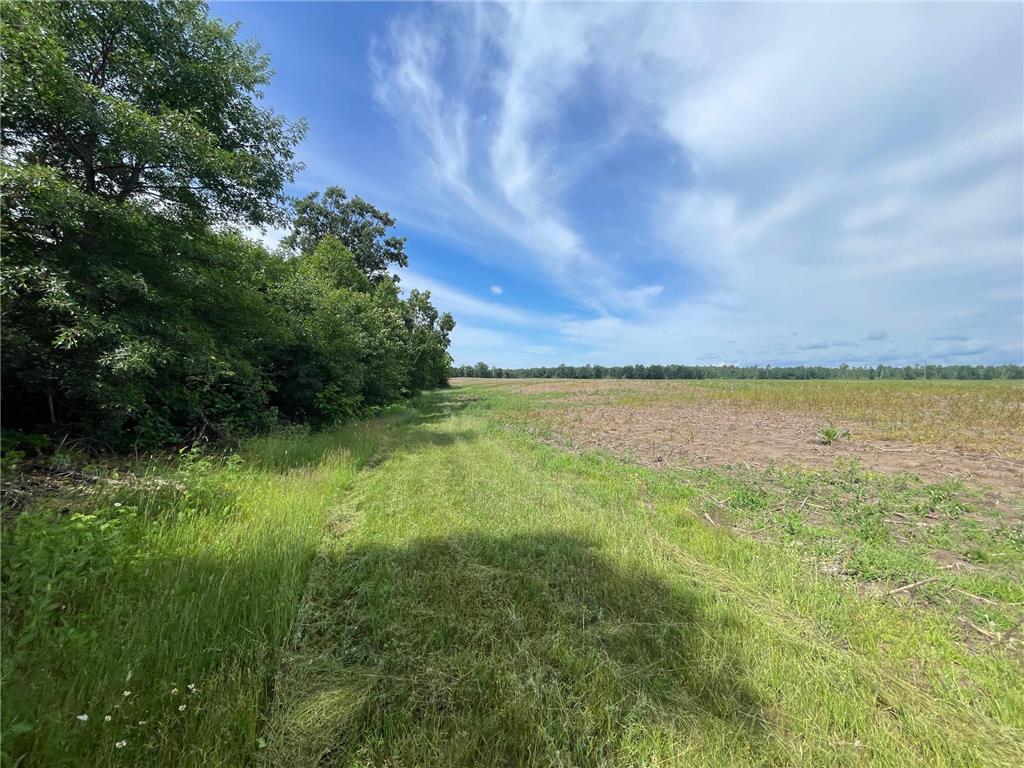 TBD2 Boot Lake Road SW Grant Valley Twp MN 56601 7106176 image21