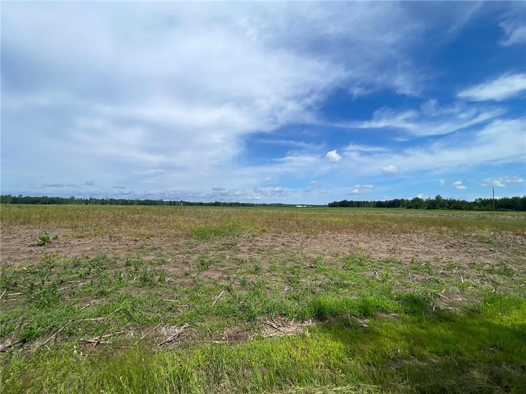 TBD2 Boot Lake Road SW Grant Valley Twp MN 56601 7106176 image22