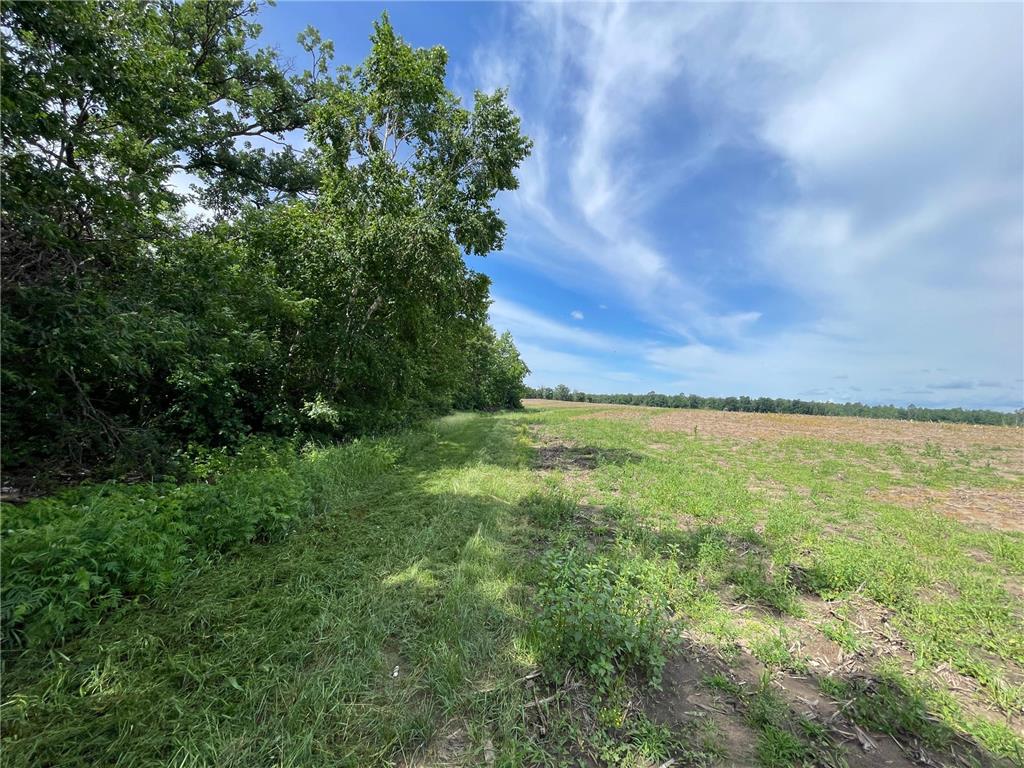 TBD2 Boot Lake Road SW Grant Valley Twp MN 56601 7106176 image23
