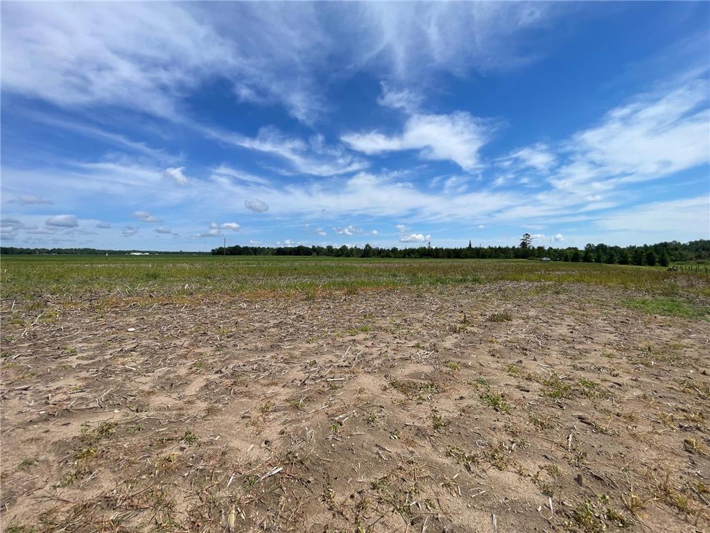 TBD2 Boot Lake Road SW Grant Valley Twp MN 56601 7106176 image24