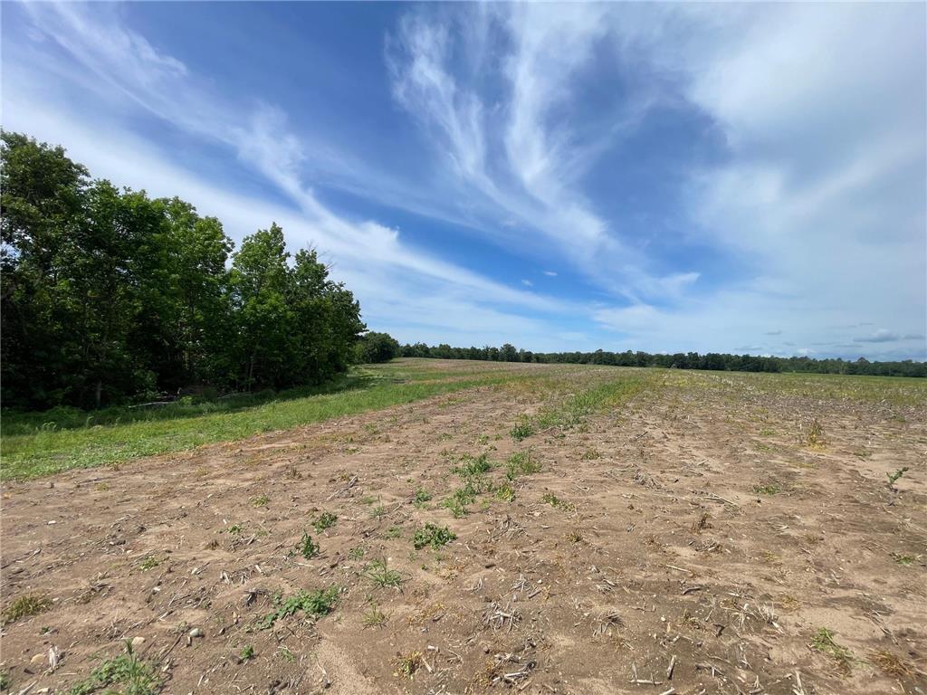 TBD2 Boot Lake Road SW Grant Valley Twp MN 56601 7106176 image25