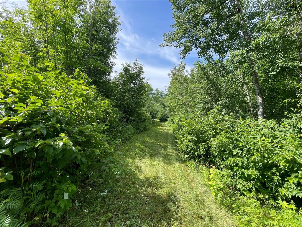 TBD2 Boot Lake Road SW Grant Valley Twp MN 56601 7106176 image27