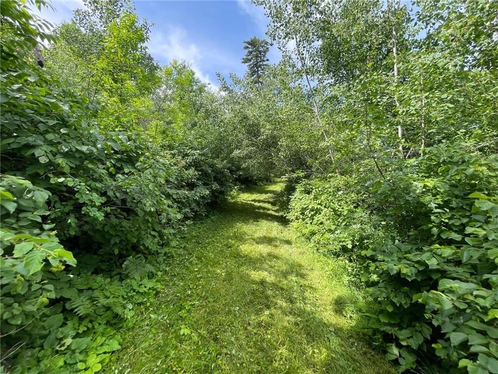 TBD2 Boot Lake Road SW Grant Valley Twp MN 56601 7106176 image28
