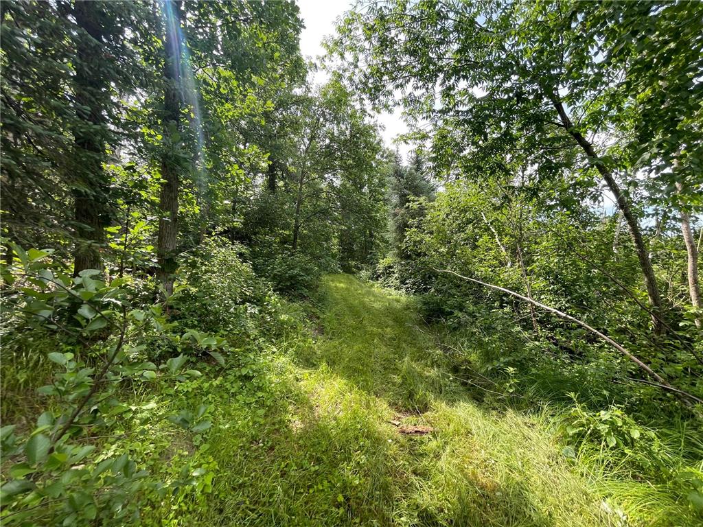 TBD2 Boot Lake Road SW Grant Valley Twp MN 56601 7106176 image29