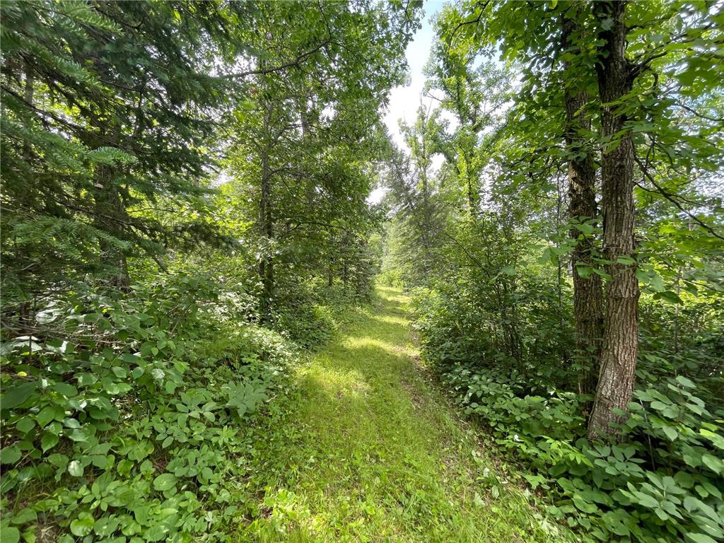 TBD2 Boot Lake Road SW Grant Valley Twp MN 56601 7106176 image30