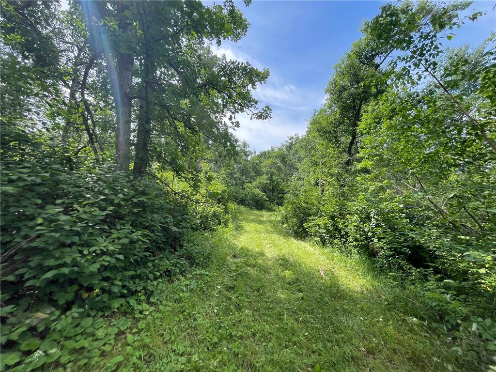 TBD2 Boot Lake Road SW Grant Valley Twp MN 56601 7106176 image31