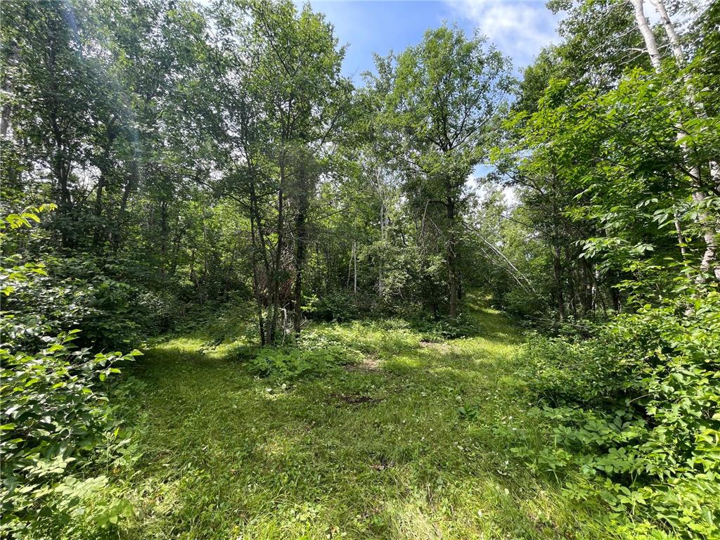 TBD2 Boot Lake Road SW Grant Valley Twp MN 56601 7106176 image32