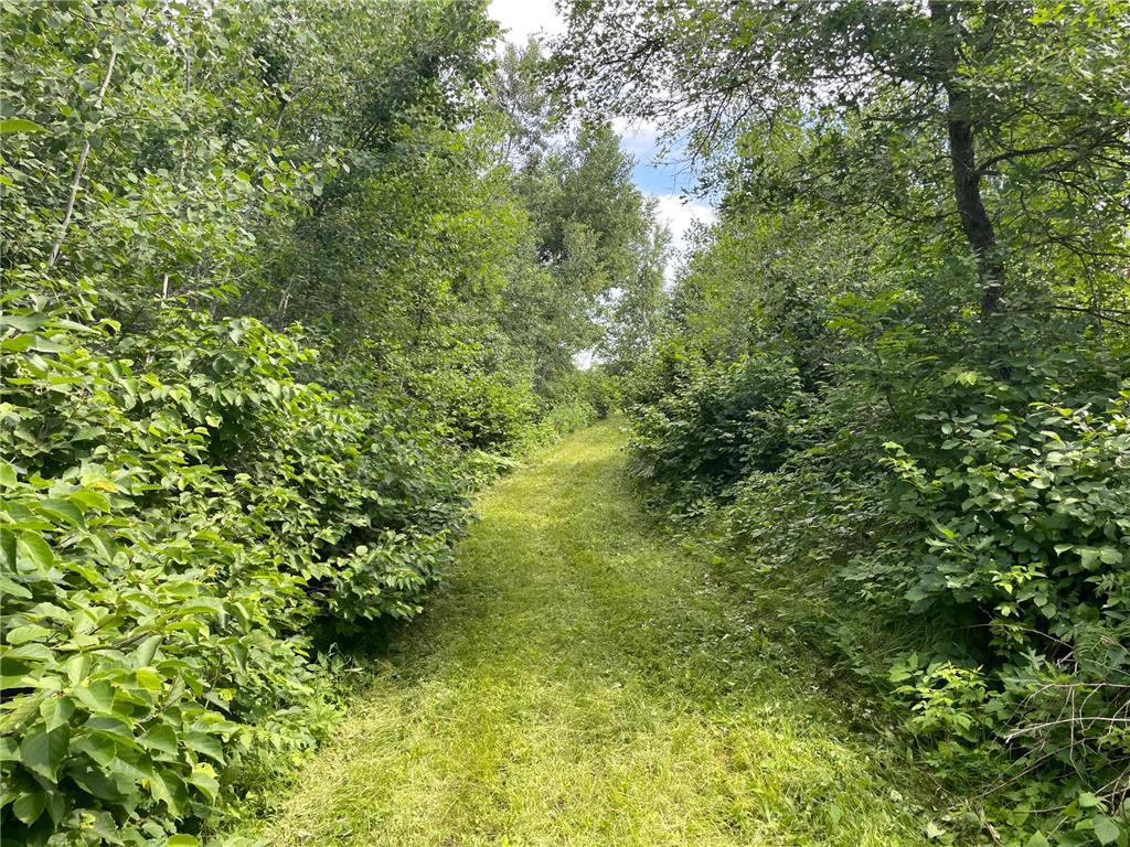 TBD2 Boot Lake Road SW Grant Valley Twp MN 56601 7106176 image33