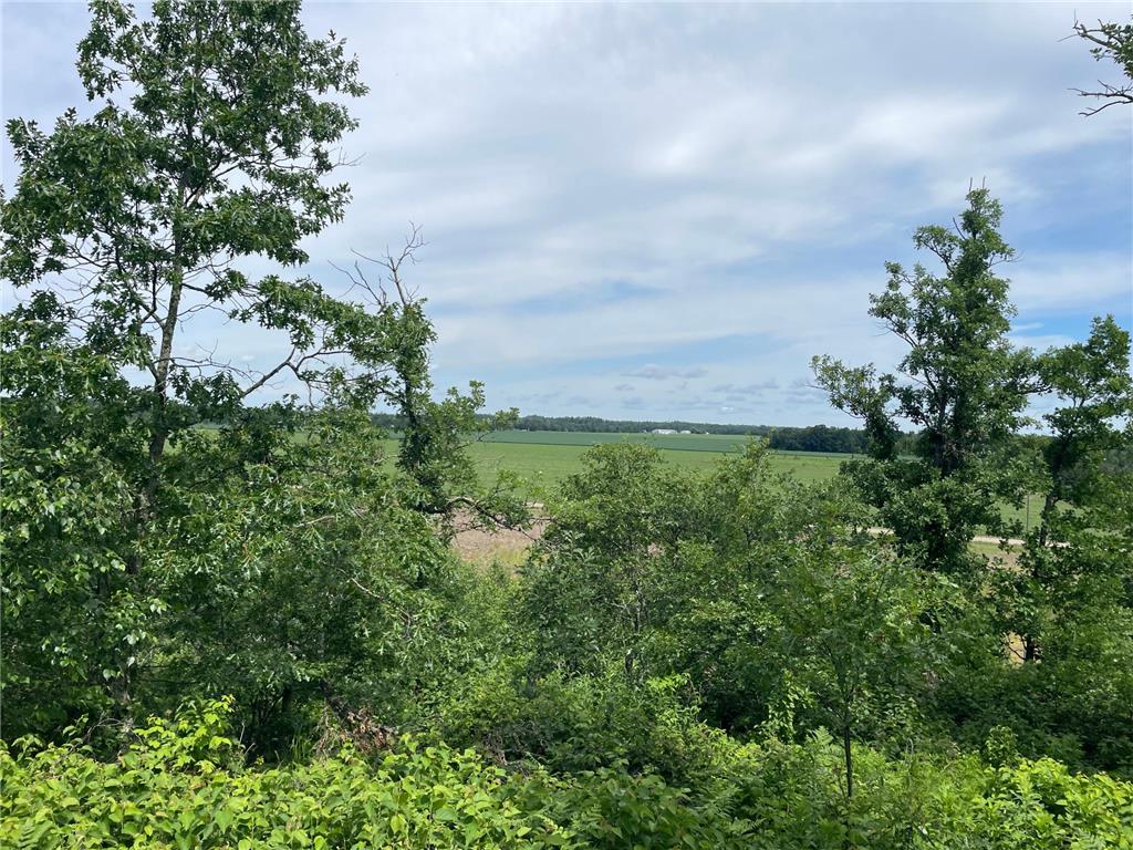 TBD2 Boot Lake Road SW Grant Valley Twp MN 56601 7106176 image35