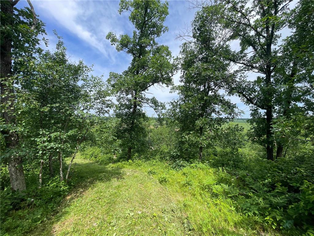 TBD2 Boot Lake Road SW Grant Valley Twp MN 56601 7106176 image36