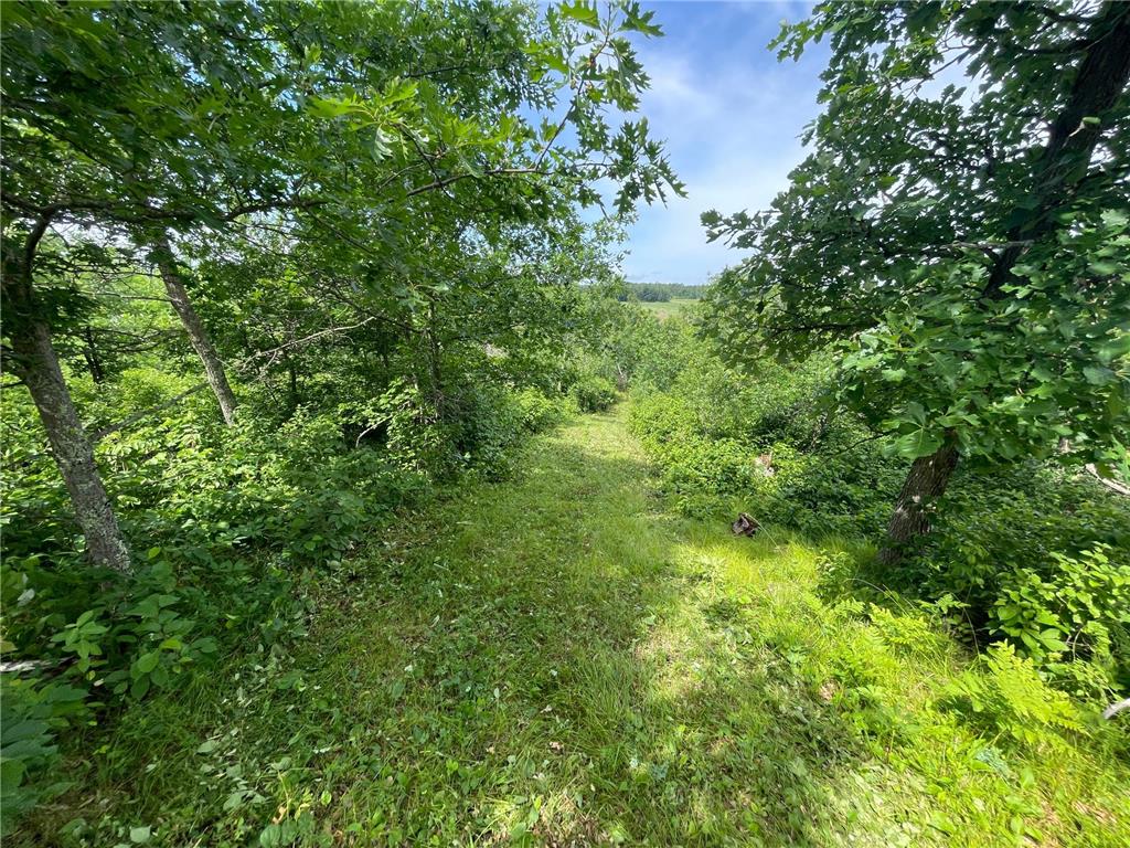 TBD2 Boot Lake Road SW Grant Valley Twp MN 56601 7106176 image37