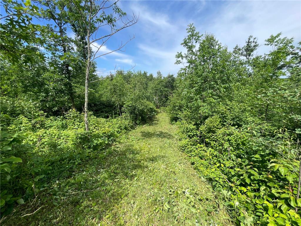 TBD2 Boot Lake Road SW Grant Valley Twp MN 56601 7106176 image38