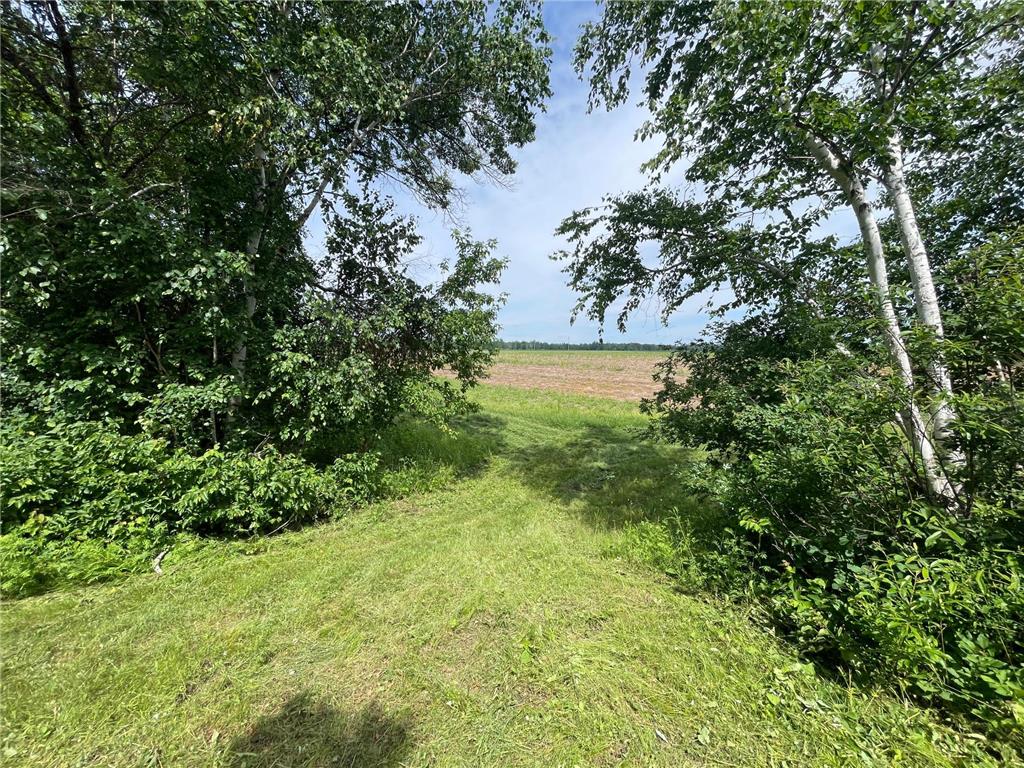 TBD2 Boot Lake Road SW Grant Valley Twp MN 56601 7106176 image39