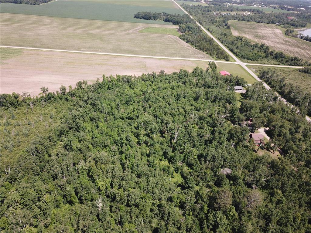 TBD2 Boot Lake Road SW Grant Valley Twp MN 56601 7106176 image4