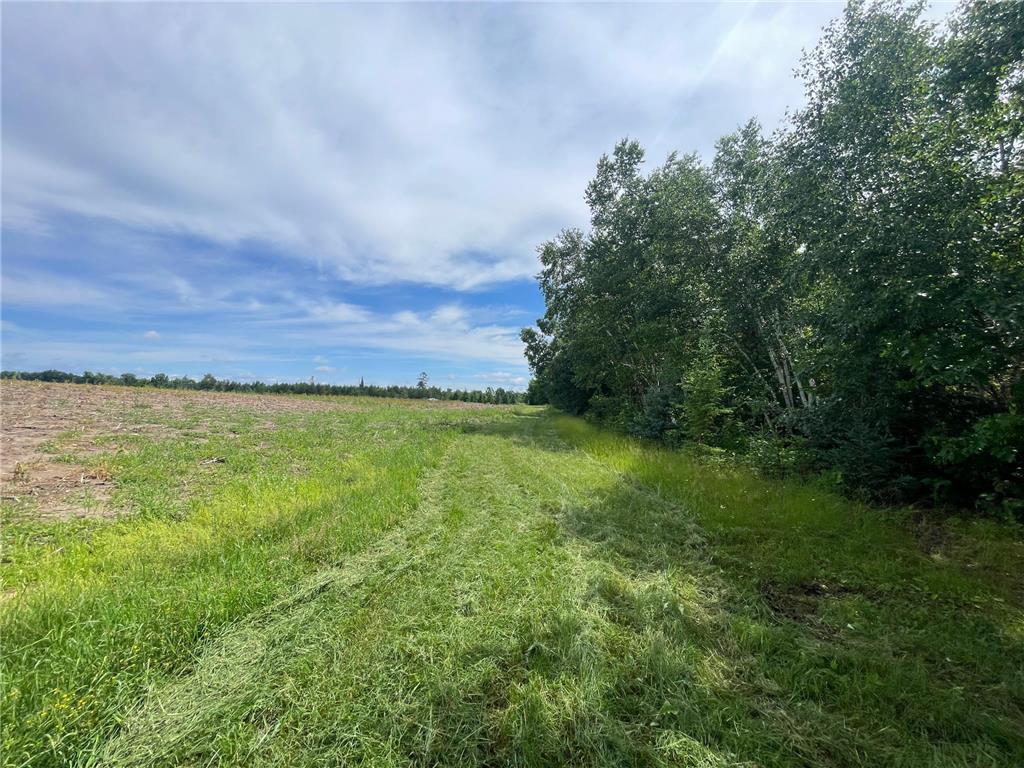 TBD2 Boot Lake Road SW Grant Valley Twp MN 56601 7106176 image40