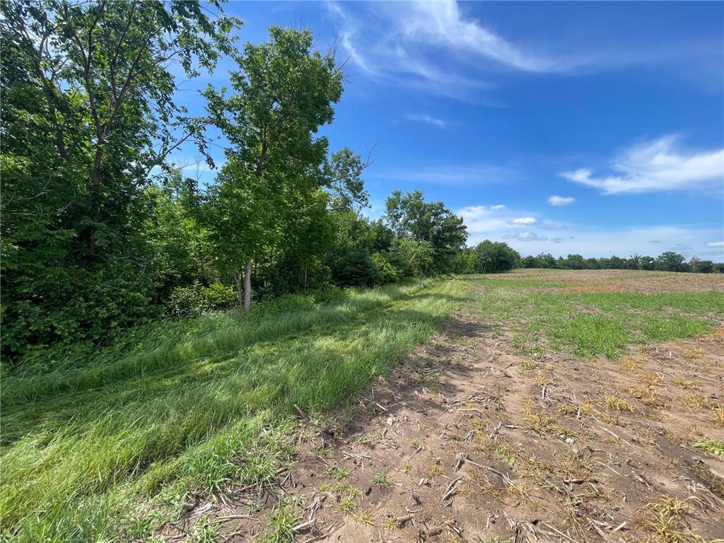 TBD2 Boot Lake Road SW Grant Valley Twp MN 56601 7106176 image41
