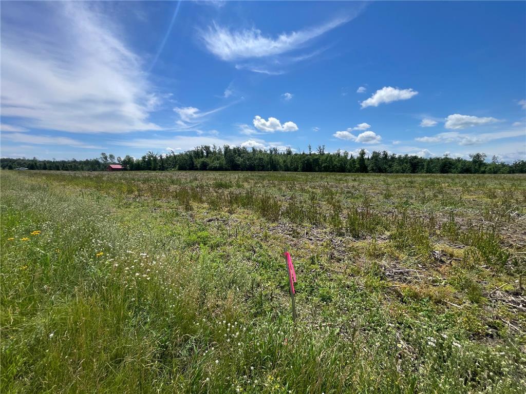 TBD2 Boot Lake Road SW Grant Valley Twp MN 56601 7106176 image43
