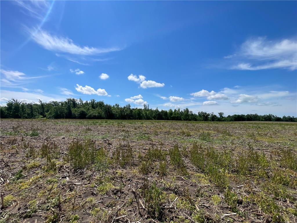 TBD2 Boot Lake Road SW Grant Valley Twp MN 56601 7106176 image45